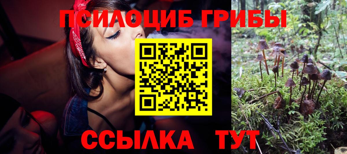 Острогожск  Псилоцибиновые грибы MAGIC MUSHROOMS  Вход с VPN 